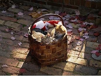 伴随软硬件升级 V社移除《DOTA2》对32位系统支持